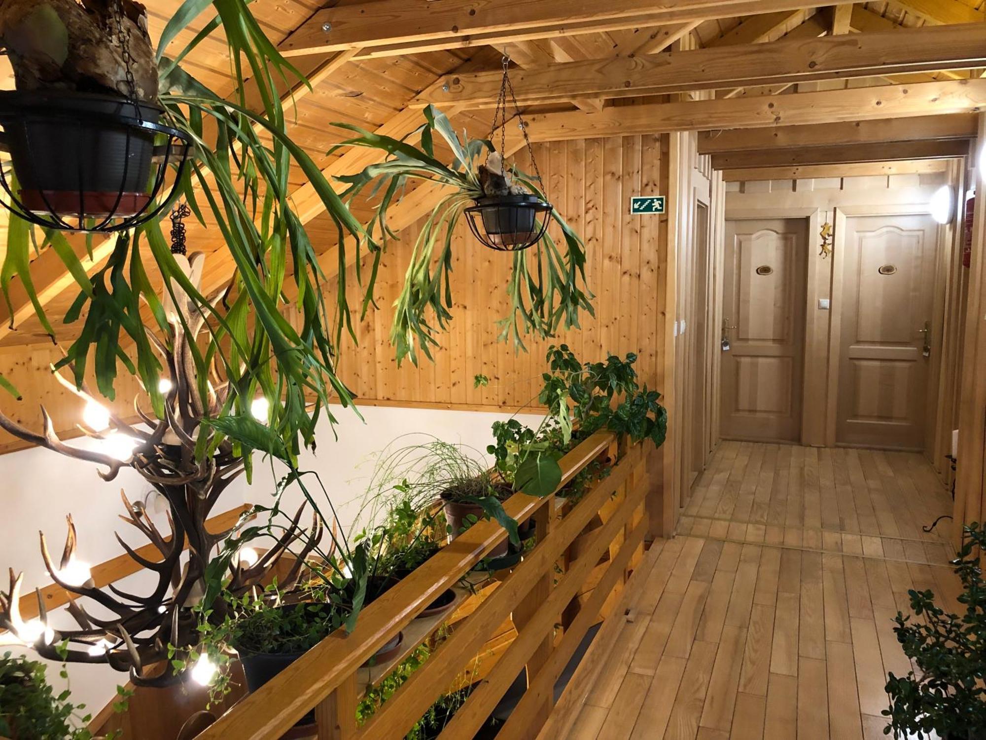Tiszafa Vendeghaz Szentgal Hotel Eksteriør billede